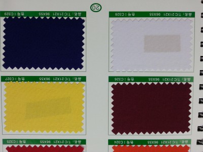 SD-DGYE   滌棉細珠帆  T/C  21*21   96*55 細節-10